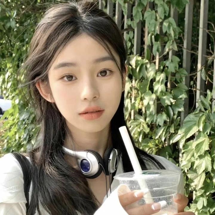 倒霉熊之茶杯旅行记